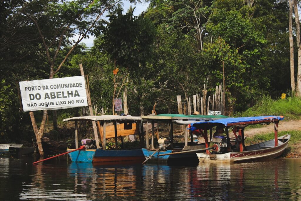Impacto Econômico, Social e Ambiental - imagem editorial 1