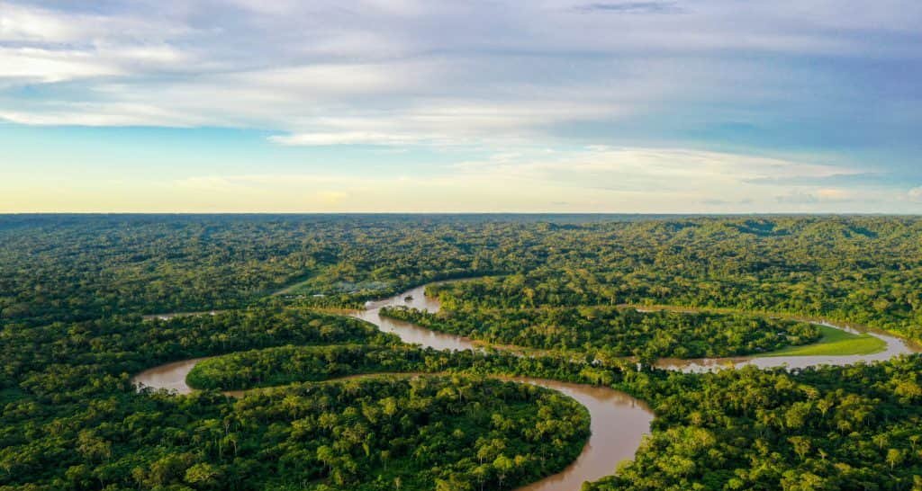 Financiamento climático avança no Brasil, mas ignora potencial das florestas - Imagem do artigo original