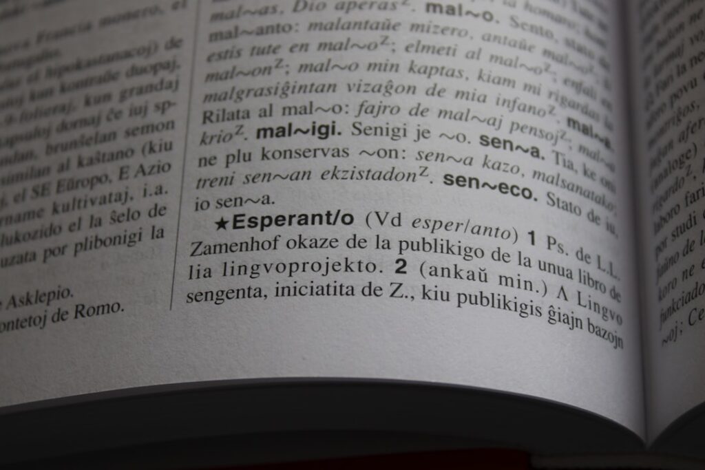 Considerações Finais - Qual escolher em julho/2026? - imagem editorial 1