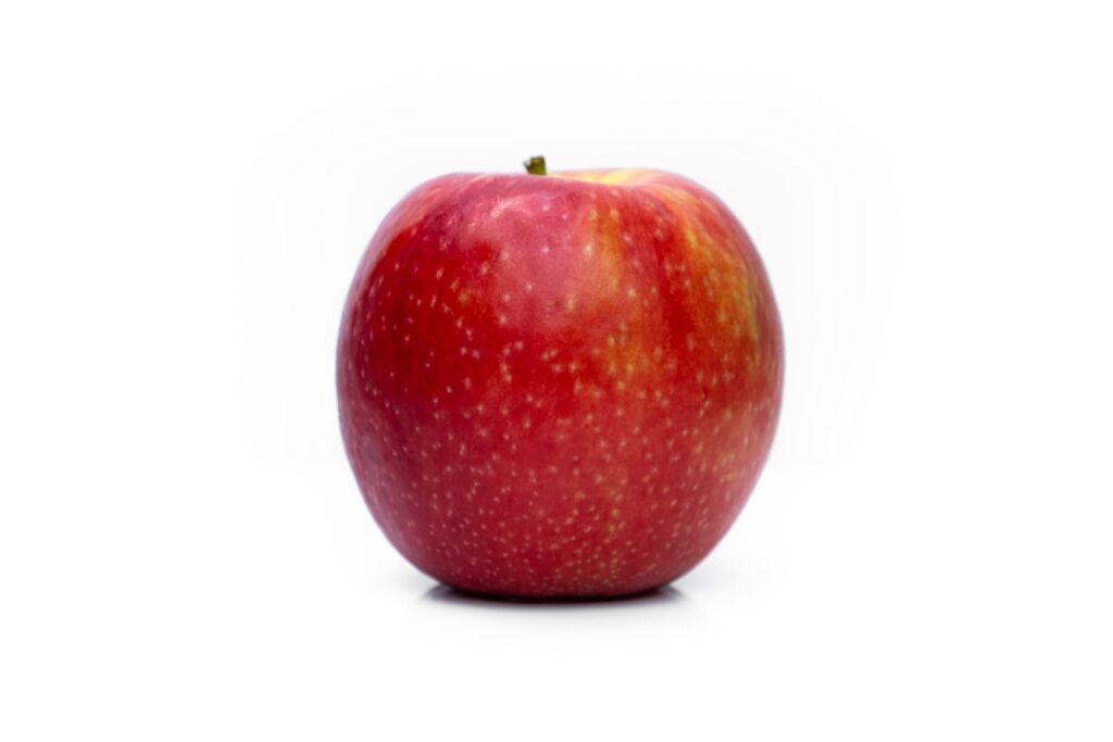 John Ternus novo CEO Apple: posse em 1º/9/2026 - Como fica a liderança da Apple antes e depois da transição?